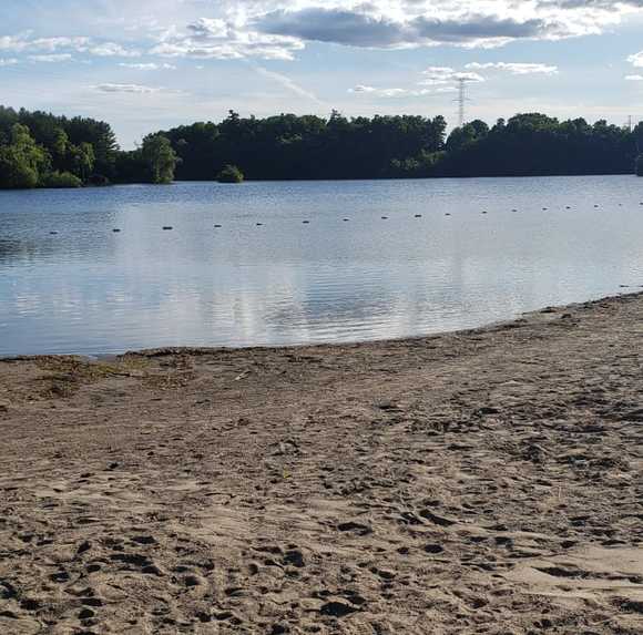 Meet your Posher, Rim - Picture 1 of 1